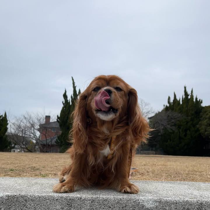 De1f6547 30d1 4679 a3ea a527756b23e8 1676679581040