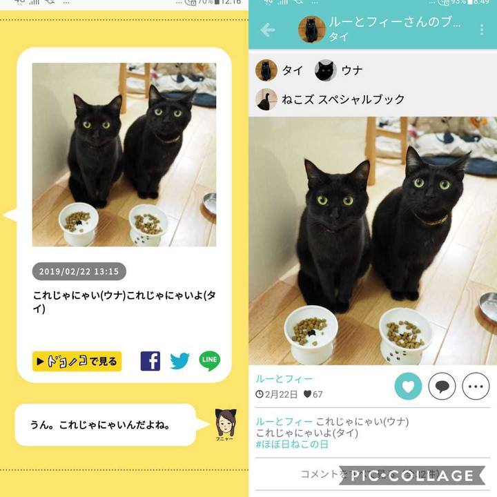 De1f7446 25dc 47f9 870c 5406aa5cd3ea 1551311478240