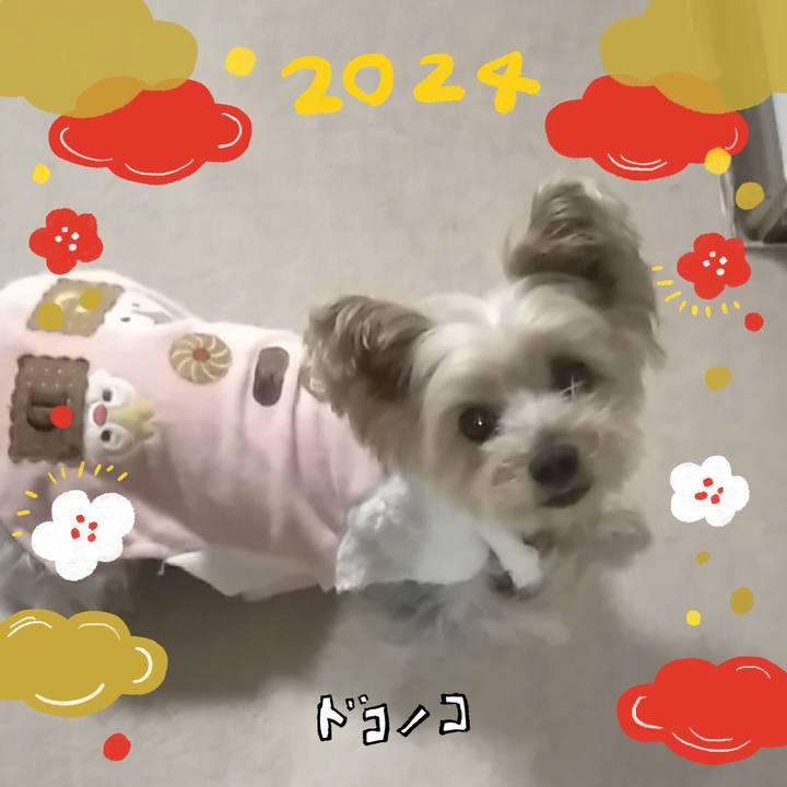 De1f9583 6fa0 46e6 abee 06e28bc3ad79 1704199050194