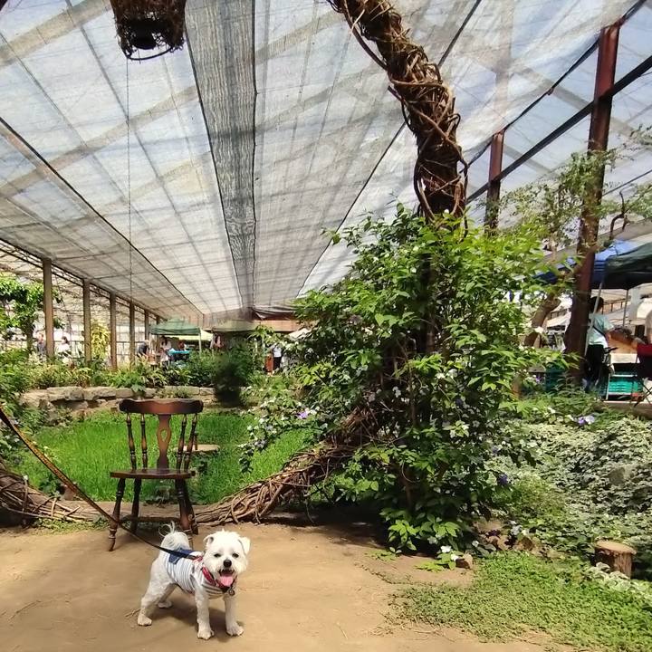 De1f95ab 5dac 4a11 a9e1 364f3cd20407 1683291493647