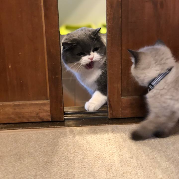 De1f964c 2304 4724 8d34 180a2913cf0c 1585050068587