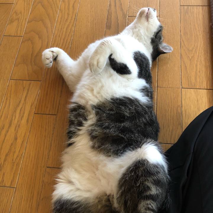 De1fa565 605e 4b52 b016 d090ec551c13 1597282911969