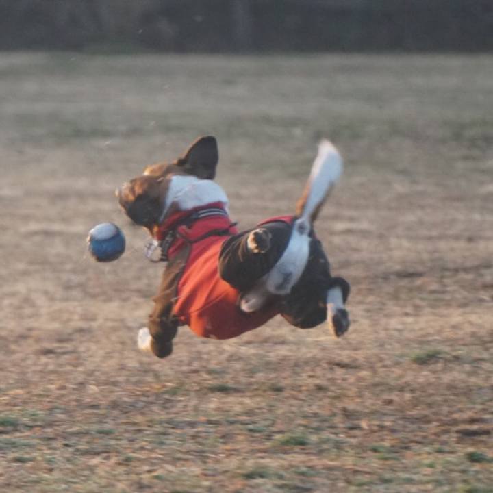 De1fb3d0 b95e 43fa 8170 a3943b235f92 1550616930331