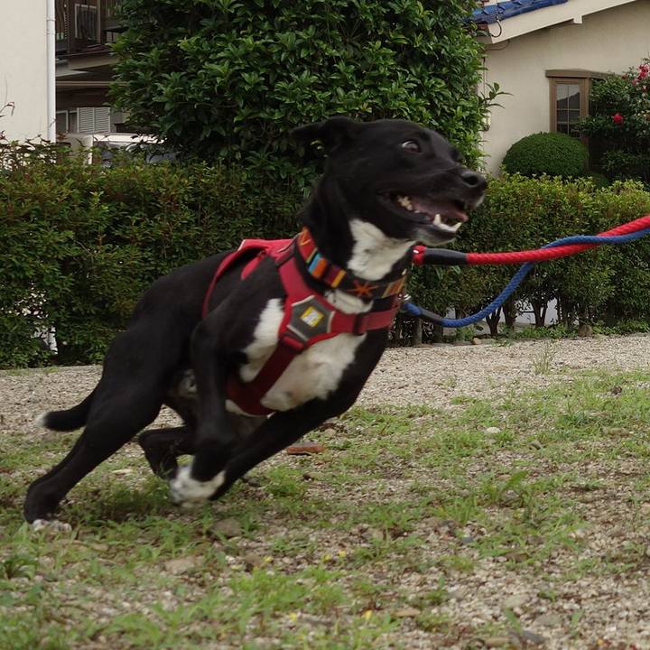 De2008ad ed0b 4b51 9bfb f4fb9524b142 1590626193253