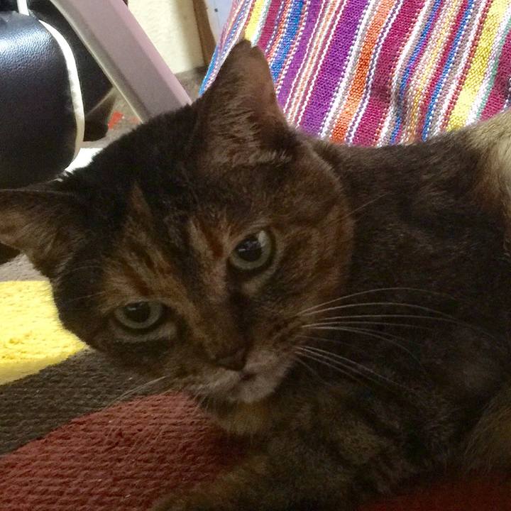 De2014f0 1a13 45a8 b3a1 4ea76acff37f 1514881953386