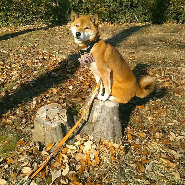 De2057e5 9db1 464e bbb3 6f0ebbd5263e 1576460266052