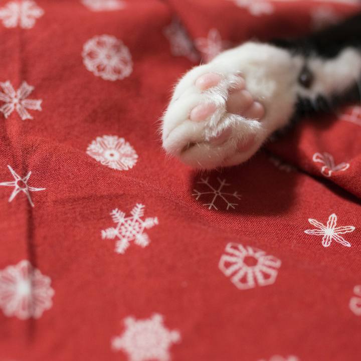 De206788 a159 490a 8341 aa62aae0f859 1528596090666