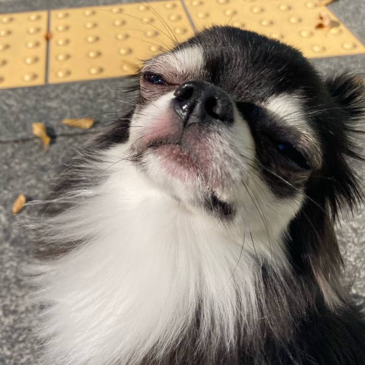 De20c8d3 94f6 4543 bd85 55cbccc0173f 1635910763701