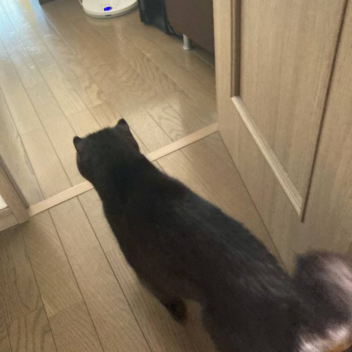 De20c906 20f9 4d1f 908f a6c602798847 1593396729498