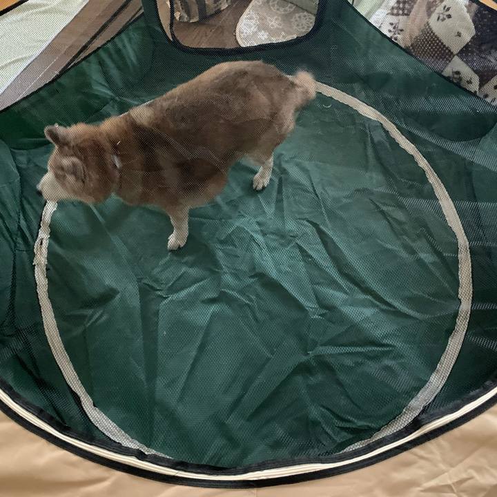 De20fb9f 7ec8 4ba8 8c39 bd150a846fed 1677062347374