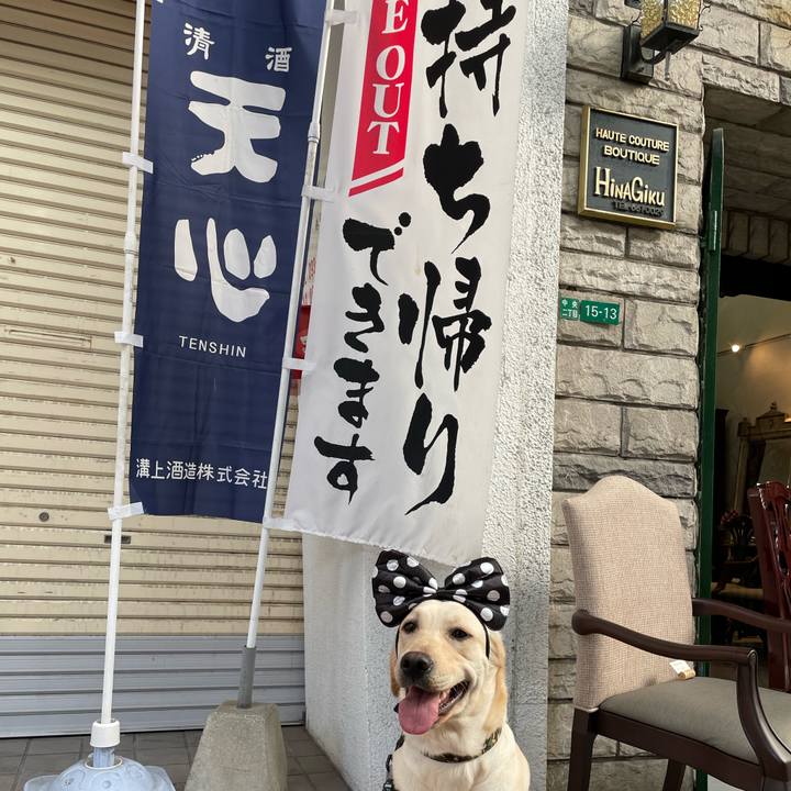 De213796 f91e 4b67 9653 80413c3a9baa 1643667329630