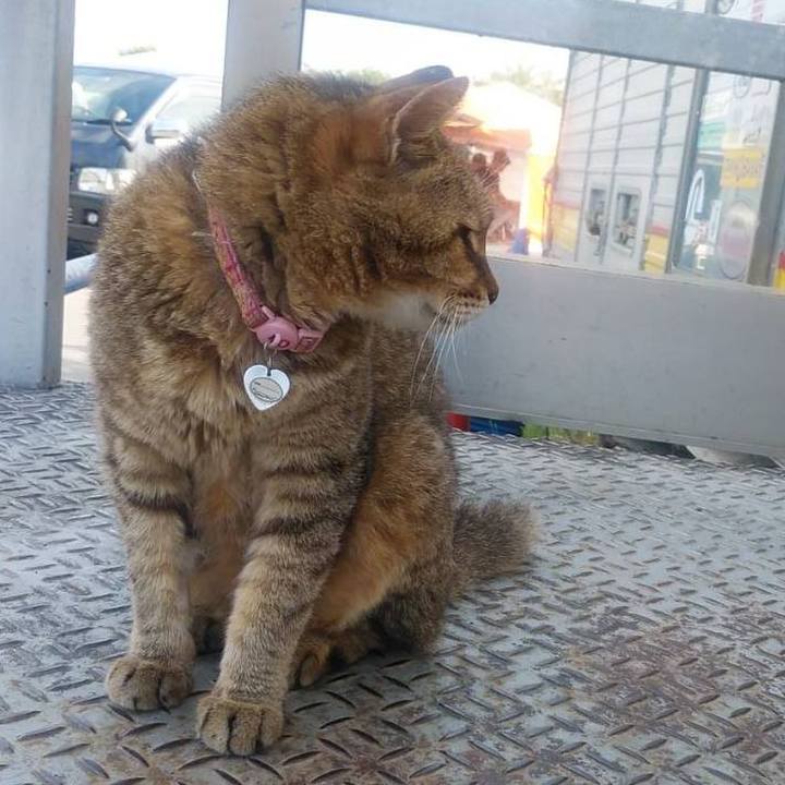 De214fe1 339f 4f39 b8bd 83975fa2a692 1597967552171