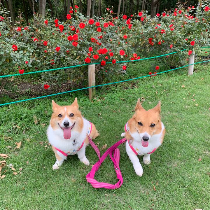 De21589d c4c1 40d2 bd3f 45173319b662 1571636431606