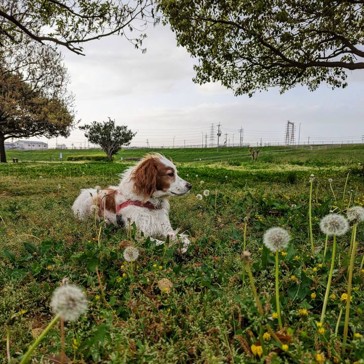 De216467 97fe 4cb4 b67c 69d07a760f4b 1681298162062