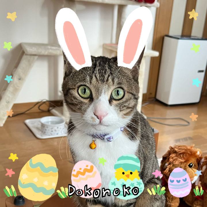 De21c754 9e4a 40a8 91eb bd604b2033cc 1712595814801