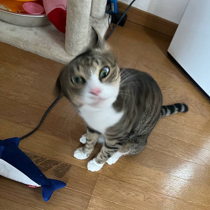 De21e395 187c 4e78 adac 084b00d6fe27 1739259196813