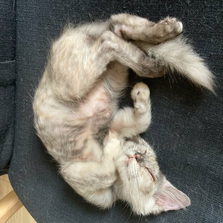 De21f32a 4c15 49e4 9957 7cada3ec9518 1692521082526