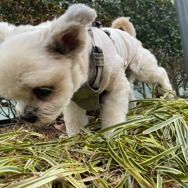 De22319d 3a08 47bf b120 66b415277469 1766652607670