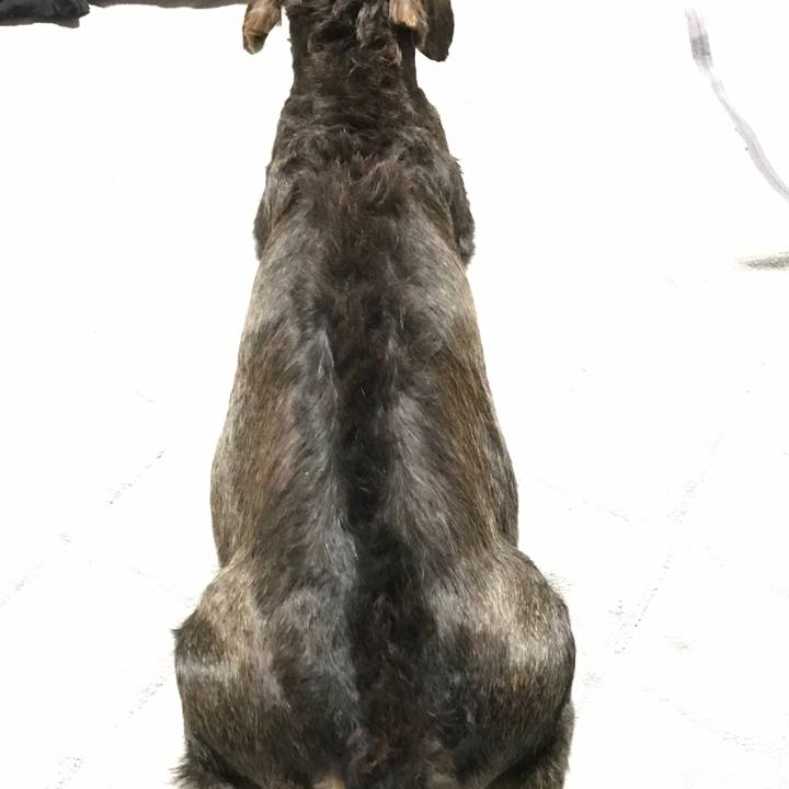 De223953 cbaf 4b74 83af b4a83d72f703 1565535261542