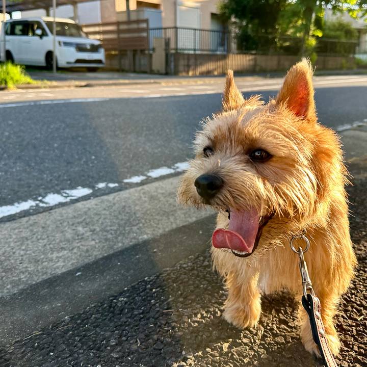 De224f3c 5cf6 42d9 83b5 e1f32233fd2a 1753596298092