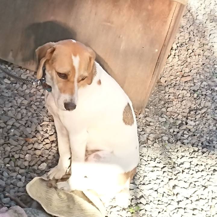 De2258b2 1d09 4549 a19f 259f29ad39e9 1572933625158