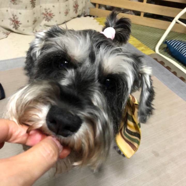 De22ee8f f433 469d 9459 5d78ca4db61f 1629549480012