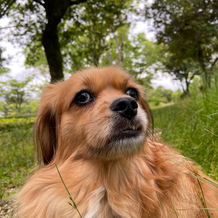 De22f02d d7a7 4905 a2f1 1f37c6eeca70 1622584420087