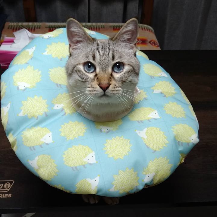 De22fa08 3d55 4ae7 a056 d64f088ad0cc 1689077980001