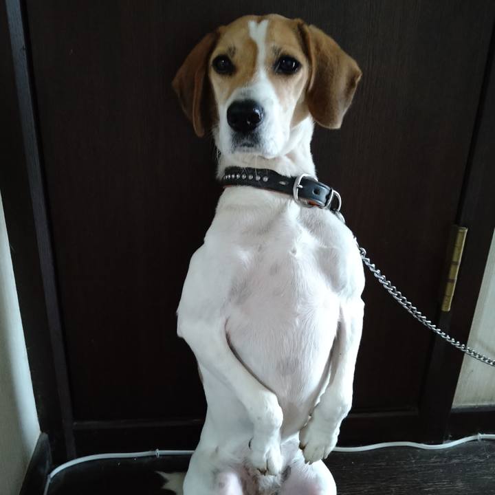 De230f46 0065 4b26 8a26 2f6b465e6609 1637581266124