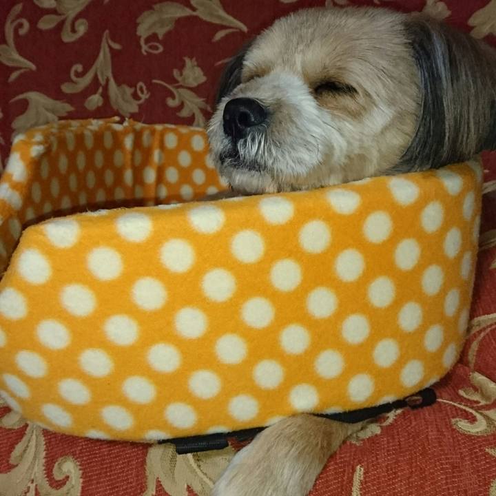 De231a7b 2c11 412d b83c ff100fed38ed 1516631629094