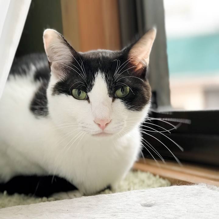 De2389a3 23c4 42bf 901d fd80db739bd8 1530712343314