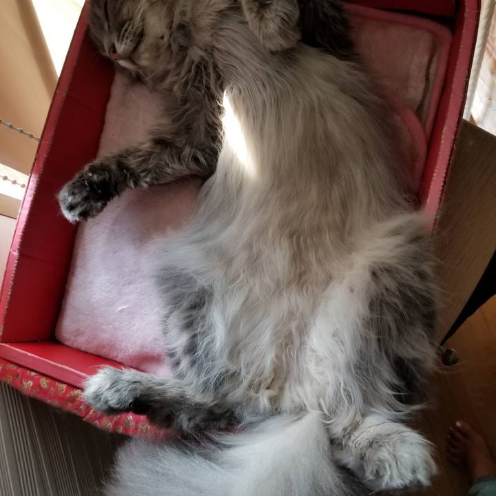 De23a872 fada 49f5 b812 e3572fecdac7 1533103556934