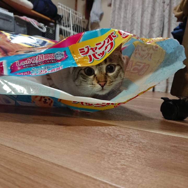 De23bcad 9d97 4ae6 8924 9efaaac1c987 1523011730391