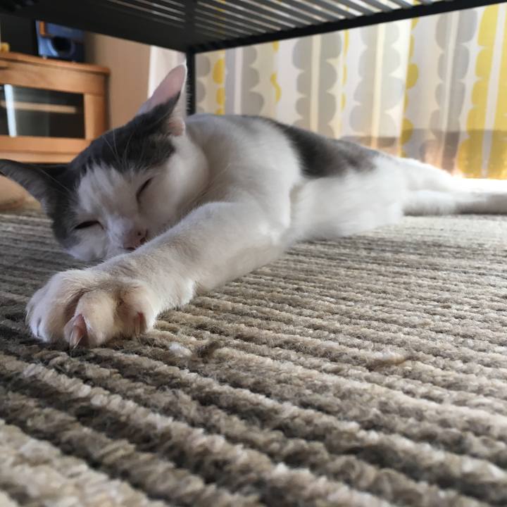 De23f74e d31b 4186 b938 fd2a2c863080 1510532295915