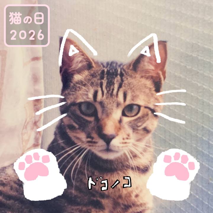 De24179e 493a 4672 a490 e4be257f5a1e 1771746269433