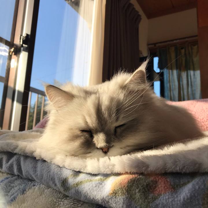 De242a1e 91e4 494c b23b a21cd140ba56 1581114788988