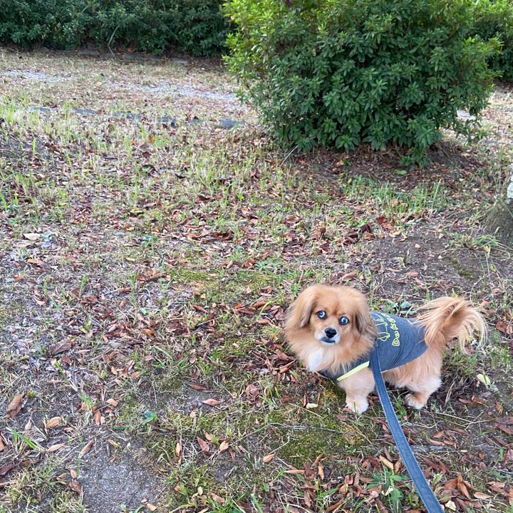 De243760 a19f 42e6 ad63 9fbfe1f7b9ee 1634766433888