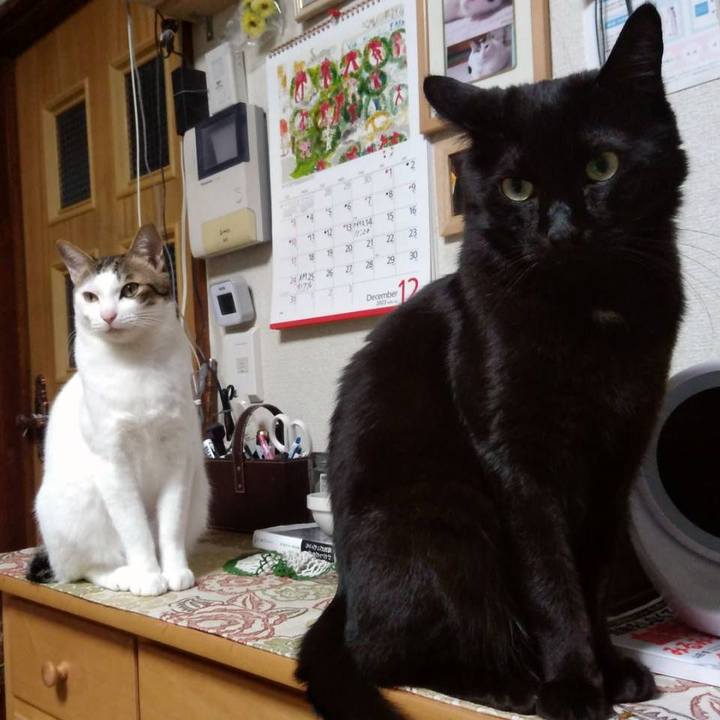 De247fe0 05f3 492d 8374 06ea1e96a167 1702472160149