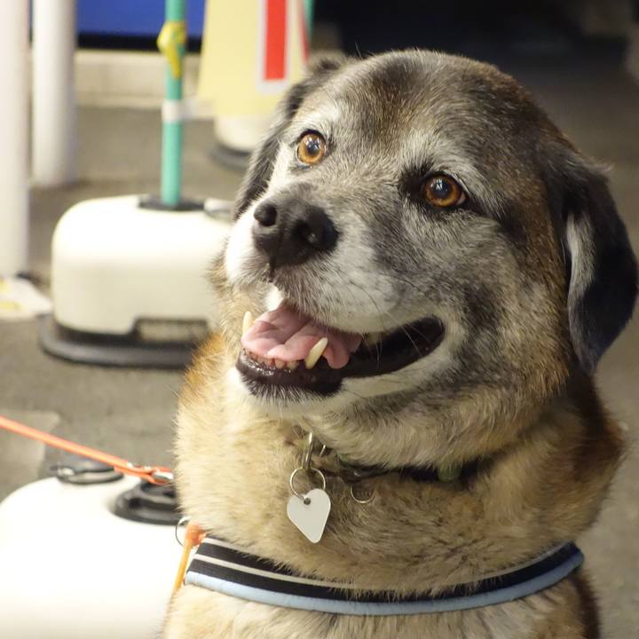 De24ae32 59fa 4c3b a2aa 162cb67268dd 1525345909345