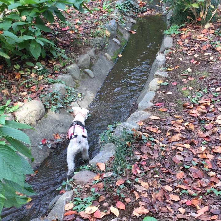 De24b53a 83d9 40c8 8407 253421fcaf8b 1542522498874