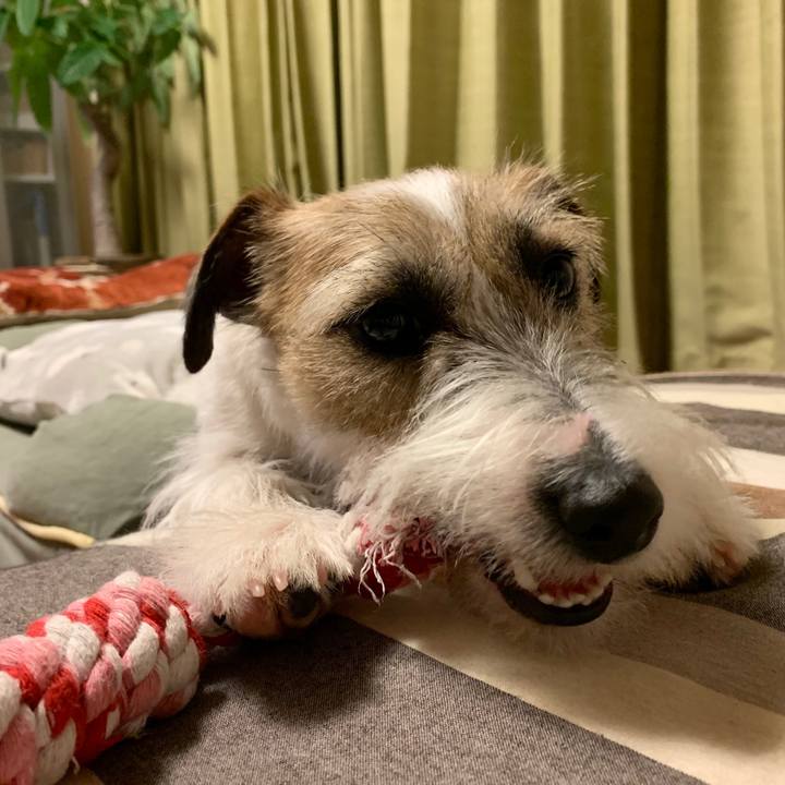 De24bfbb d38b 46c7 bc4a 3b3fc187aabd 1578575794011