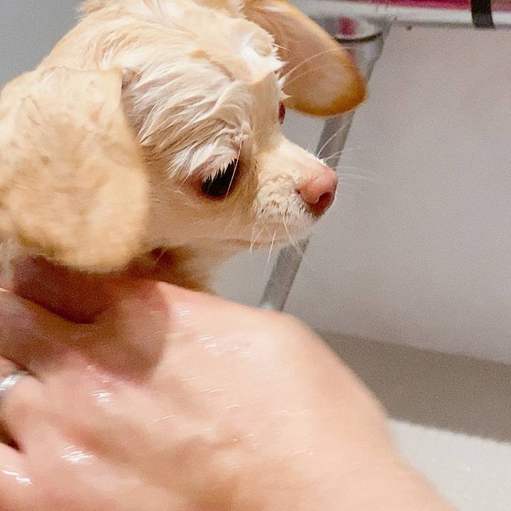 De24ce7b 43b2 46d4 9c78 d92720c714c3 1611224634428