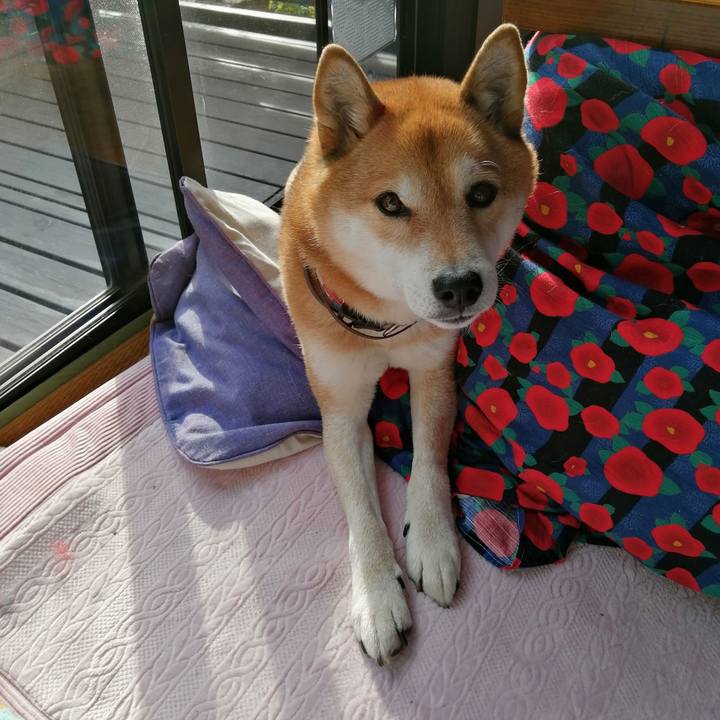 De252f03 f9bd 4490 b2fc 20be76f62311 1675088255241