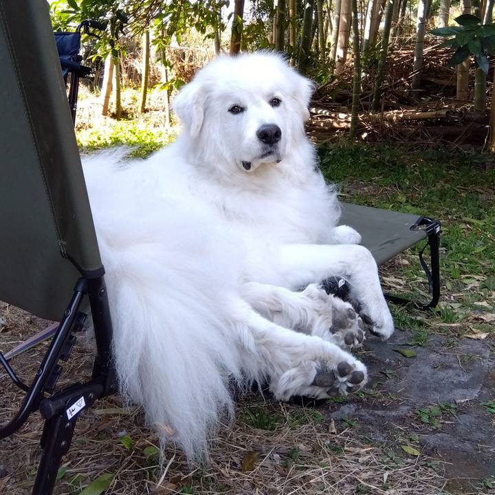 De254370 a989 4fae a364 02fe5b54285d 1678571483385