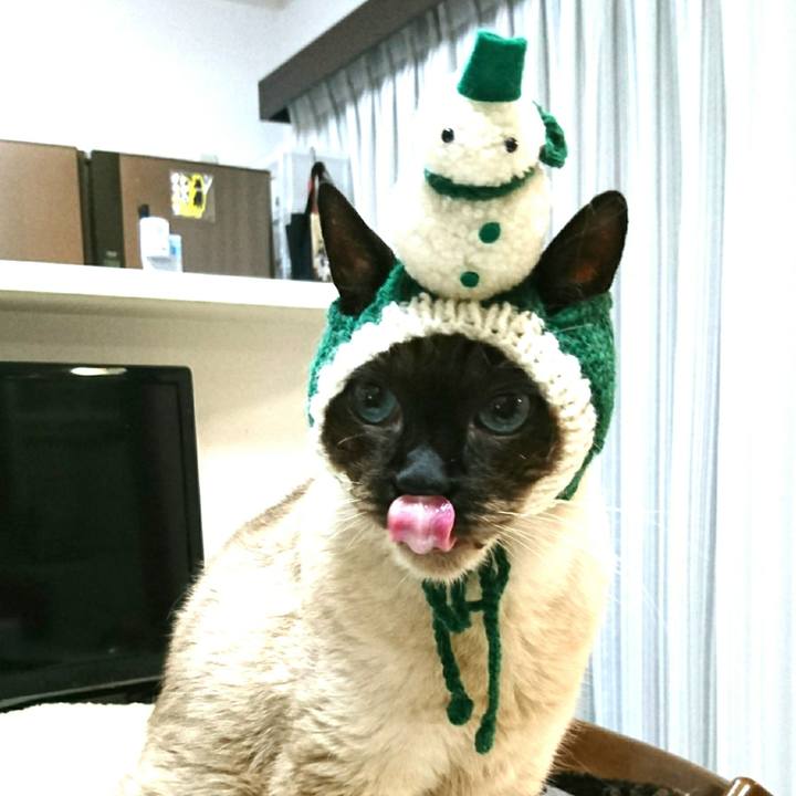 De2553f3 a7de 46e6 8e6e dc312c0839dc 1545825119621