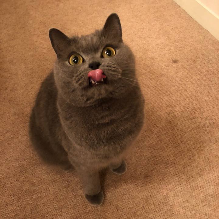 De2571de 8a5e 401c 9496 b7e627e8a4b9 1519823084658