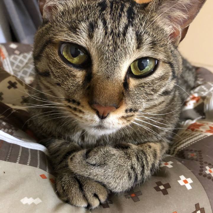 De257a74 123e 488e 8676 9fbd2c52d672 1560544353386