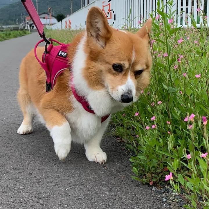 De2586c1 0454 4aac ae35 24dbf274eab2 1626386180286