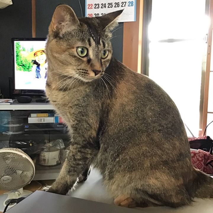 De25923f 7f55 4684 9467 1a18c6680f8b 1629507790662