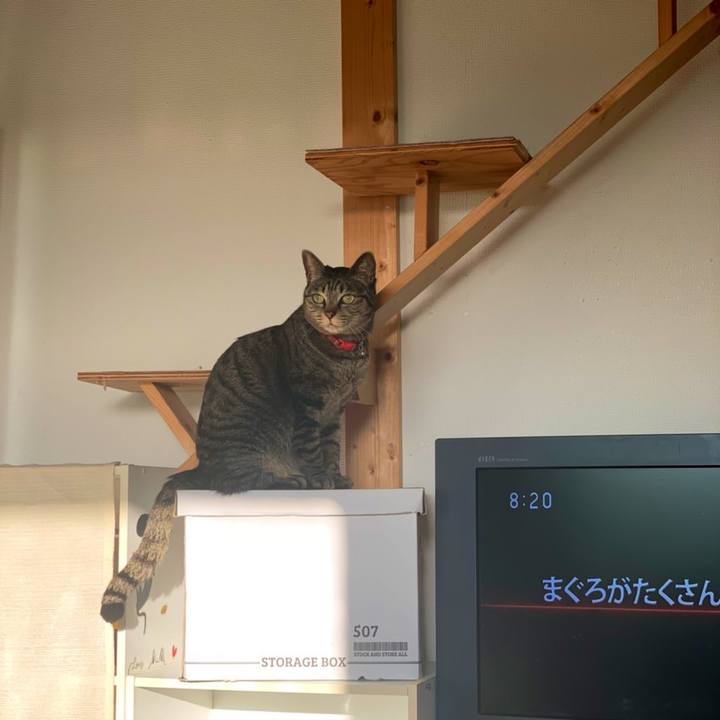 De25bb63 89a5 42f9 8893 9e5bc91890ba 1579910624009